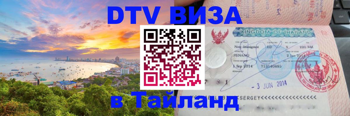 Оформление DTV визы под ключ: стоимость и тарифы, только загранпаспорт - Пенза 